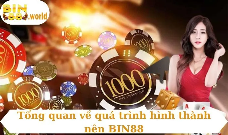 Tổng quan về quá trình hình thành nên BIN88